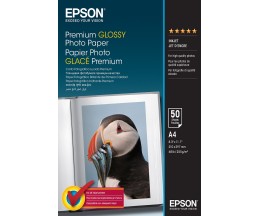 Papel Fotográfico Original Epson S041624 255 g/m² ~ 50 Páginas 210mm x 297mm